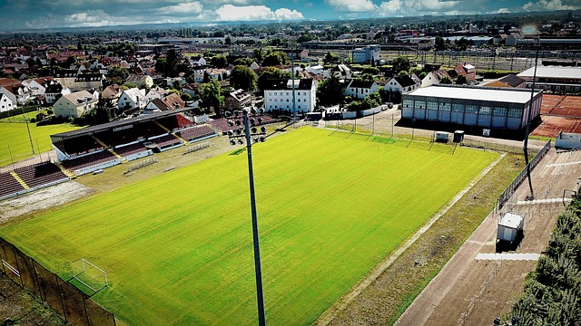 能需要面对 能需要面对