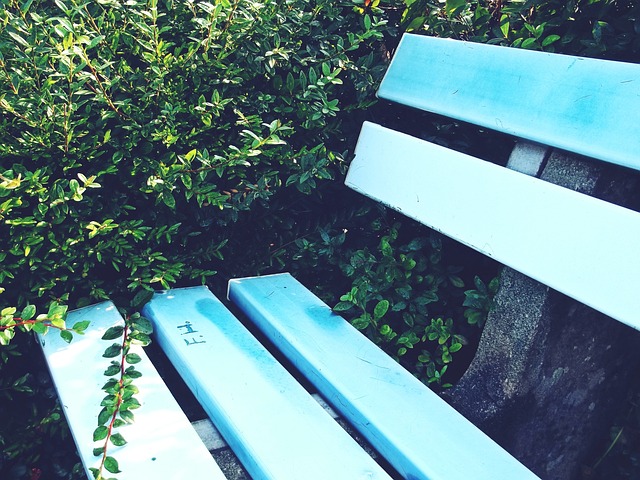 交融之地 交融之地