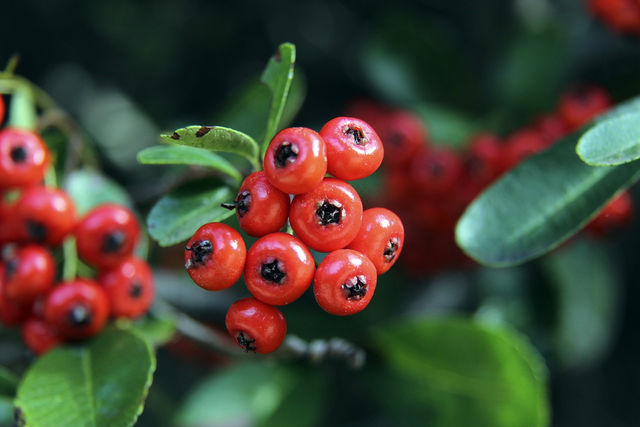 想既大胆又 想既大胆又