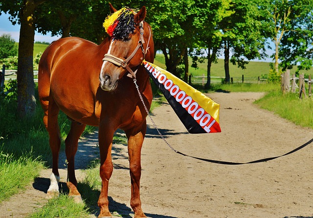 受到這些地 受到這些地